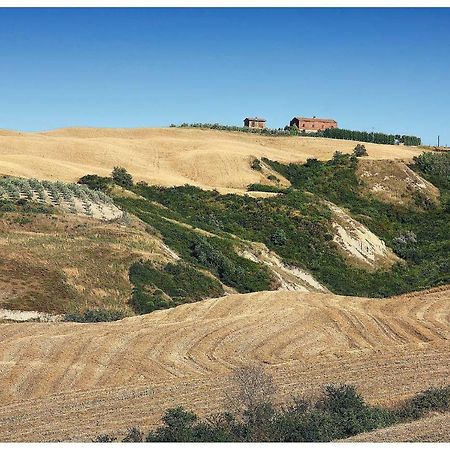 Agriturismo Podernuovo Asciano Ngoại thất bức ảnh