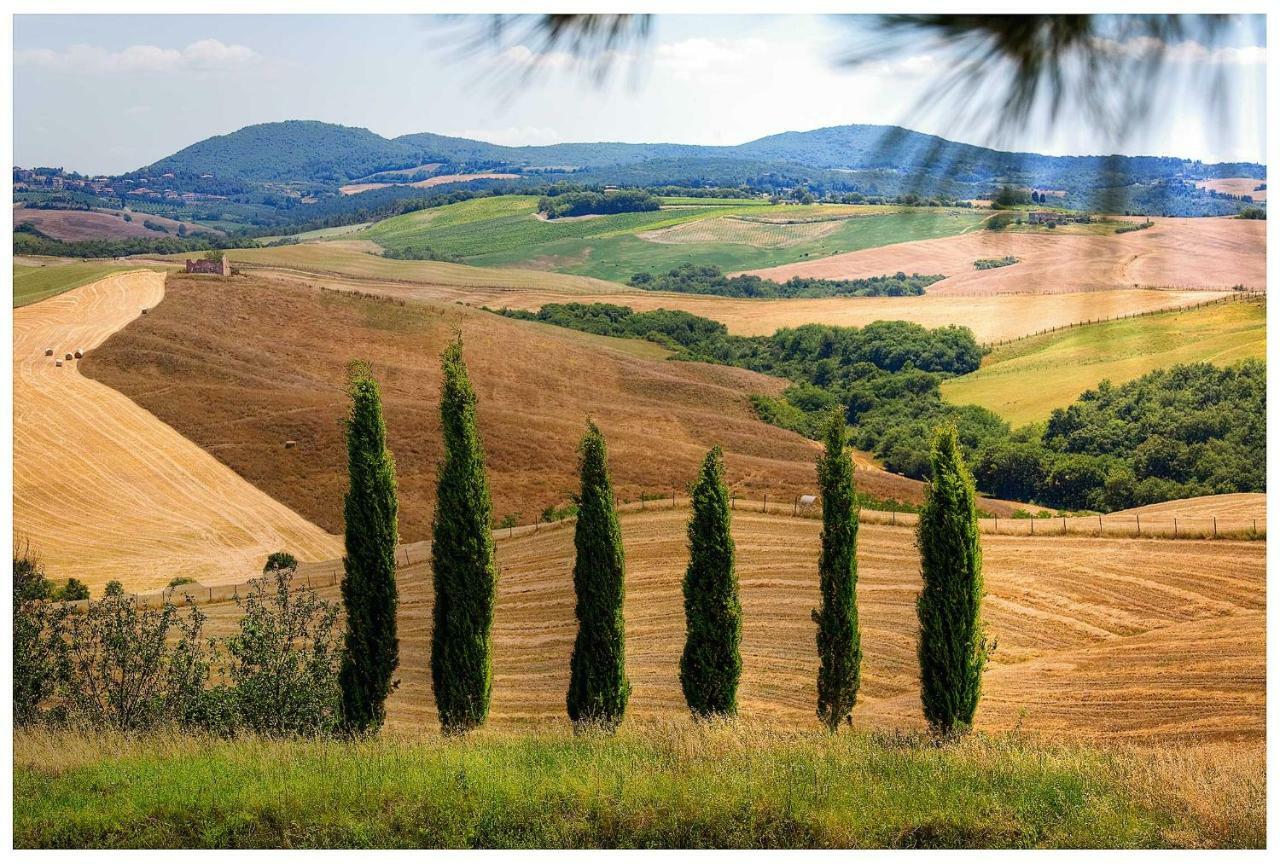 Agriturismo Podernuovo Asciano Ngoại thất bức ảnh