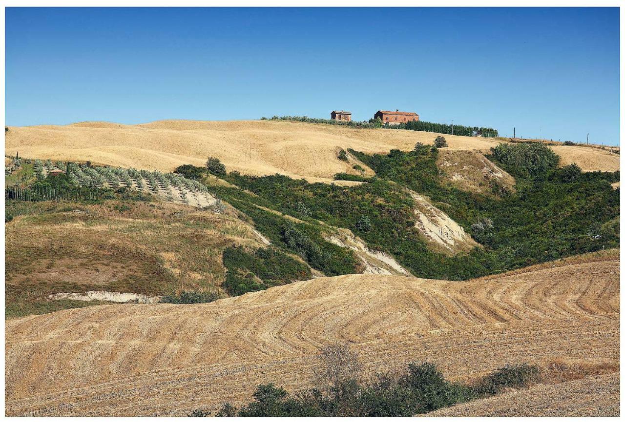 Agriturismo Podernuovo Asciano Ngoại thất bức ảnh