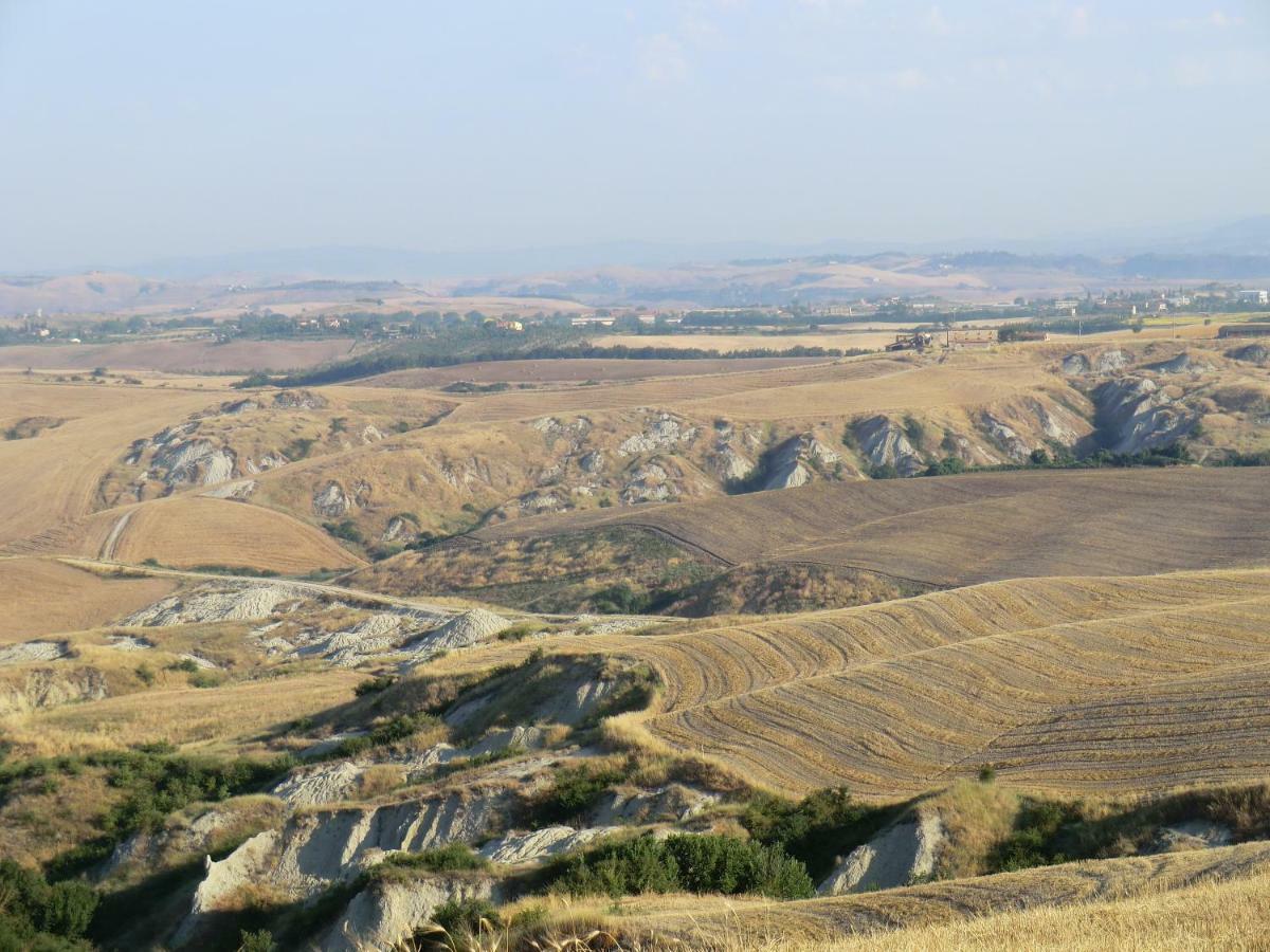 Agriturismo Podernuovo Asciano Ngoại thất bức ảnh